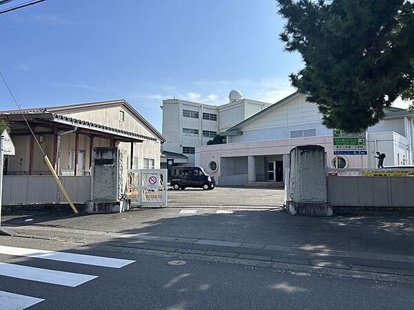 静岡市立清水三保第一小学校 徒歩15分。 1150m