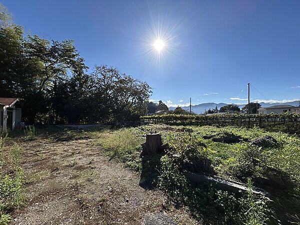 【現地写真】