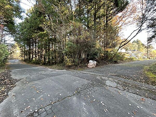 【前面道路】前面道路幅員は約6.0m。