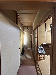 室内の画像