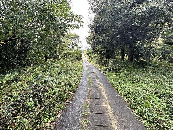 【前面道路】
