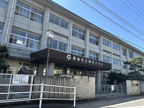 西条市立楠河小学校 徒歩9分。 710m