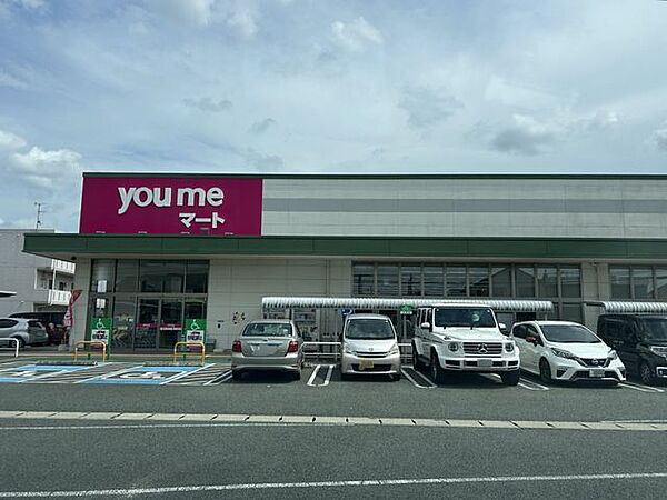 徒歩6分。ゆめマート龍田 460m