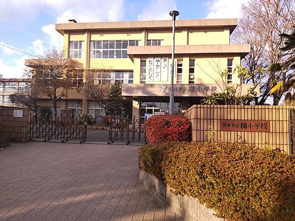 徒歩9分。熊本市立楠小学校 710m