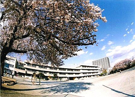 西東京市立田無小学校 徒歩2分 106m