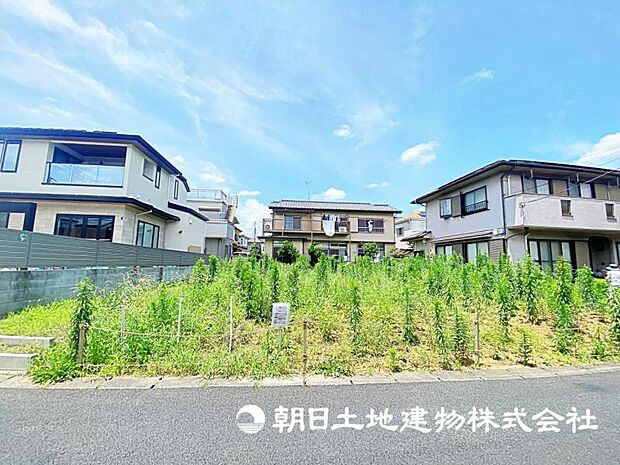 2026年7月11日に撮影したお写真です。