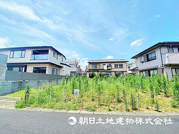 2026年7月11日に撮影したお写真です。