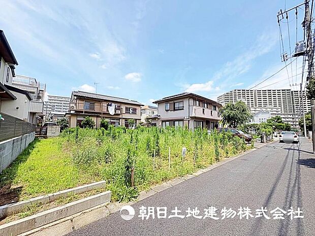 2026年7月11日に撮影したお写真です。