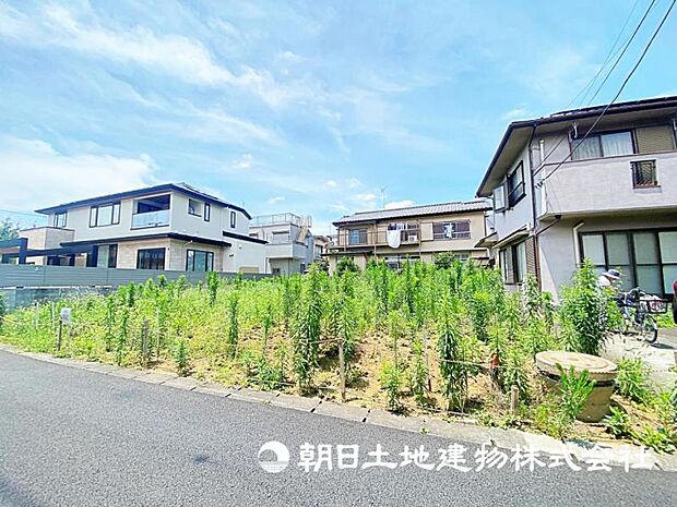 2026年7月11日に撮影したお写真です。