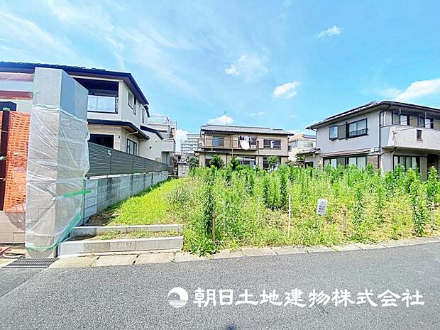 2026年7月11日に撮影したお写真です。