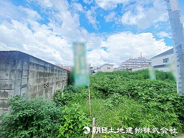 2026年8月14日に撮影したお写真です。