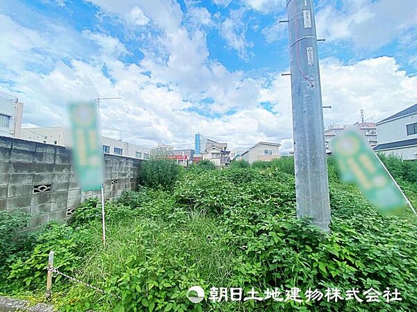 2026年8月14日に撮影したお写真です。