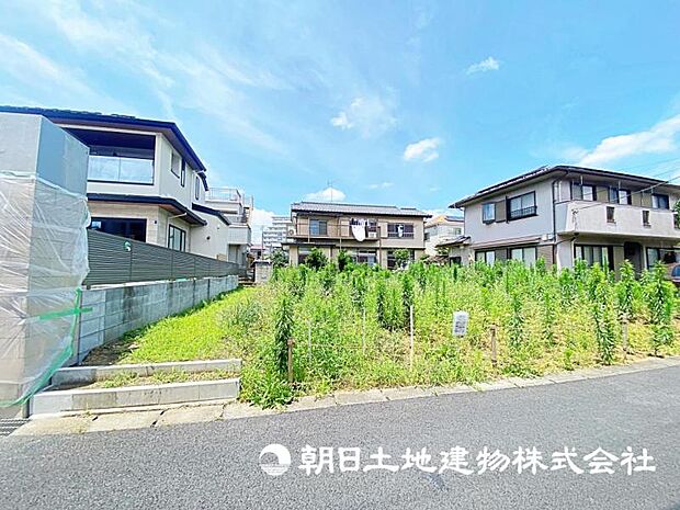 2026年7月11日に撮影したお写真です。