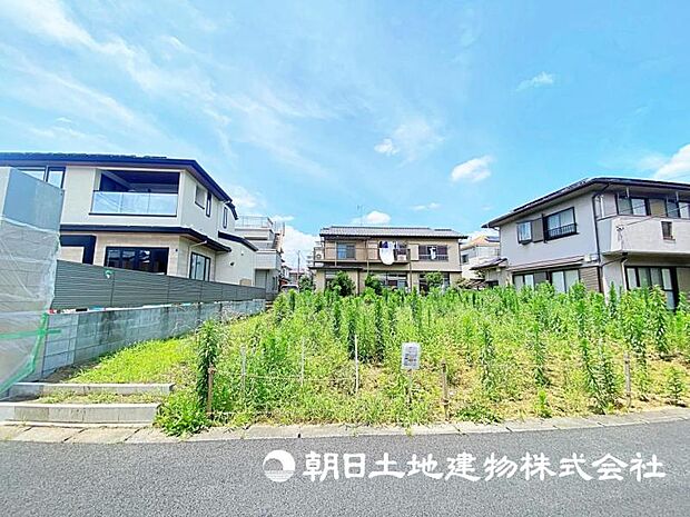 2026年7月11日に撮影したお写真です。