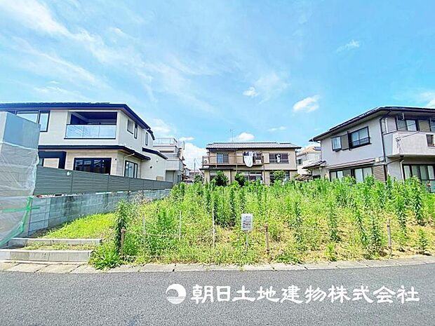 2026年7月11日に撮影したお写真です。