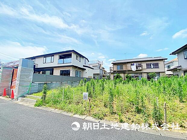 2026年7月11日に撮影したお写真です。