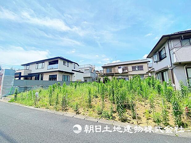 2026年7月11日に撮影したお写真です。