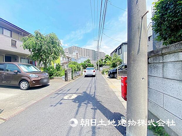 2026年7月11日に撮影したお写真です。
