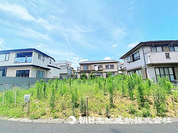 2026年7月11日に撮影したお写真です。