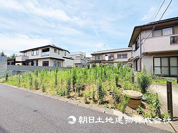 2026年7月11日に撮影したお写真です。