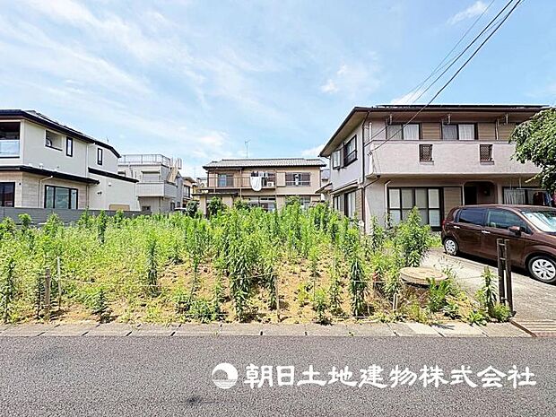 2026年7月11日に撮影したお写真です。