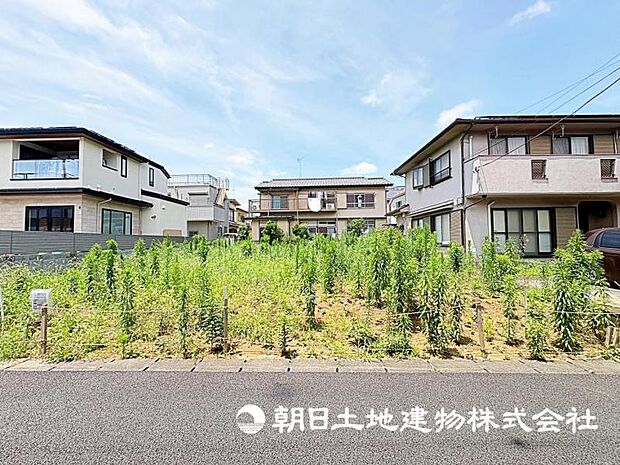 2026年7月11日に撮影したお写真です。