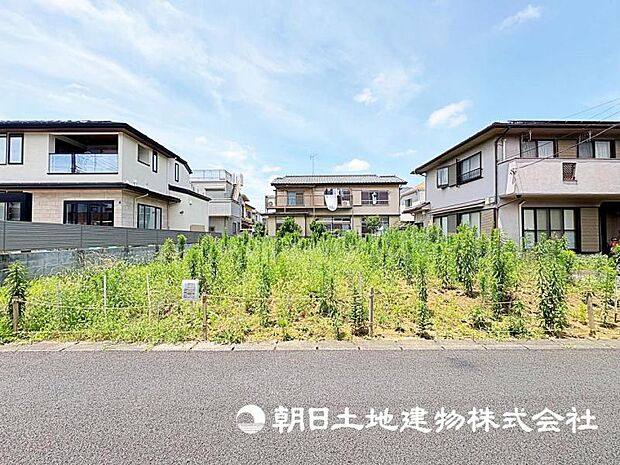 2026年7月11日に撮影したお写真です。