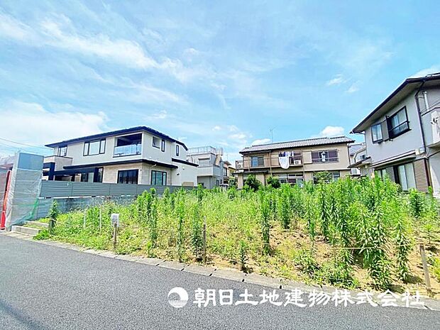 2026年7月11日に撮影したお写真です。