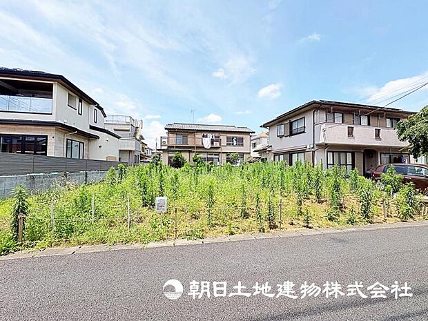 2026年7月11日に撮影したお写真です。