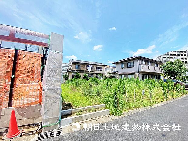 2026年7月11日に撮影したお写真です。