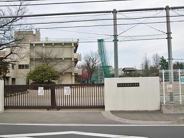 新座市立栗原小学校 259m
