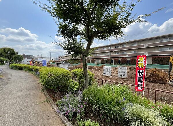 現地土地写真（2026年6月7日）