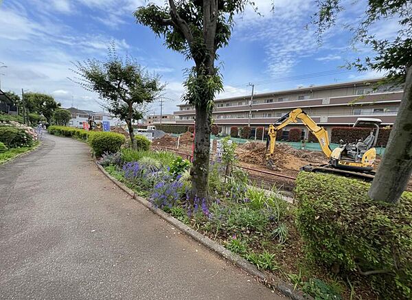 現地土地写真（2026年6月7日）