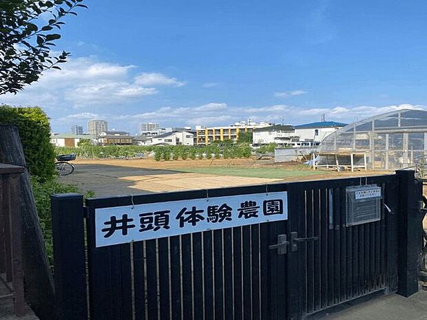 農業体験農園「井頭体験農園」 250m