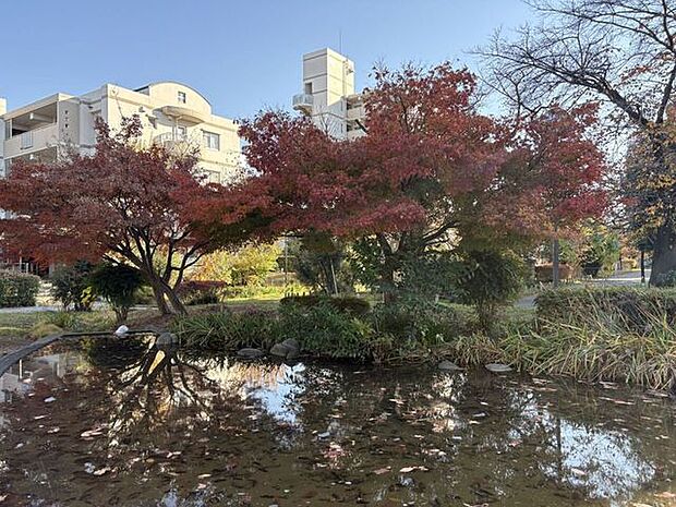 さくら公園 610m