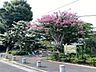 周辺：練馬区立小関ゆずりは緑地 300m