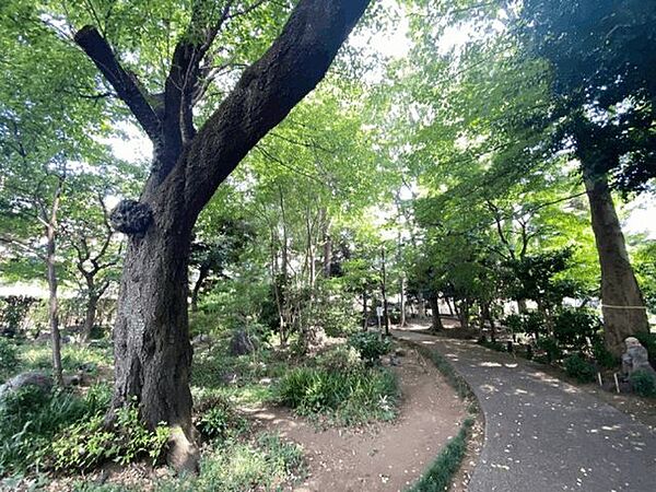周辺を拡大表示