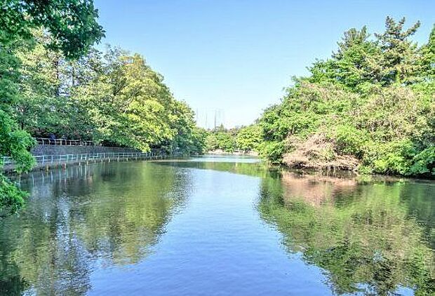 武蔵関公園 540m