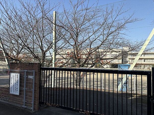 碧山小学校 150m