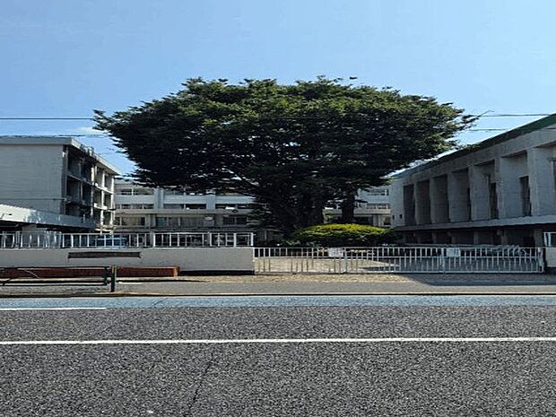 練馬区立関中学校 1310m