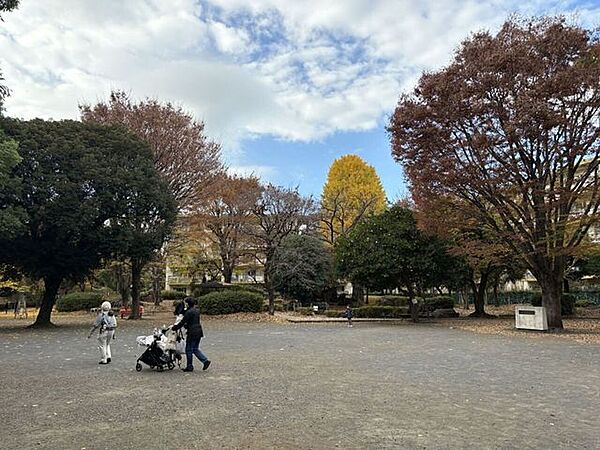 周辺を拡大表示