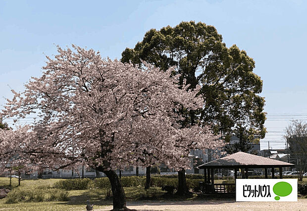 公園「柴崎台中央公園まで1769m」