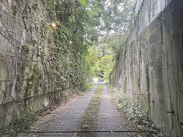 敷地