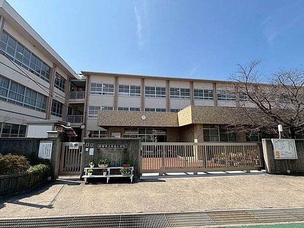 貝塚市立木島小学校 1320m