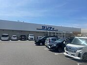 サンディ堺美原店（381m）