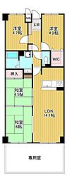 クローバーハイツ初芝ヴィプレ 4LDKの間取図画像