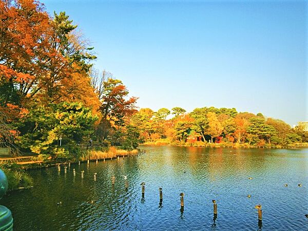 歌川広重の名所江戸百景『千束の池袈裟懸松』にも描かれた水辺の景観の面影を今も残す「洗足池公園」。周辺住民の憩いの場になっており、池月橋、水生植物園のほか、勝海舟記念館も隣接しています。