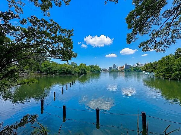 歌川広重の名所江戸百景『千束の池袈裟懸松』にも描かれた水辺の景観の面影を今も残す「洗足池公園」。周辺住民の憩いの場になっており、池月橋、水生植物園のほか、勝海舟記念館も隣接しています。