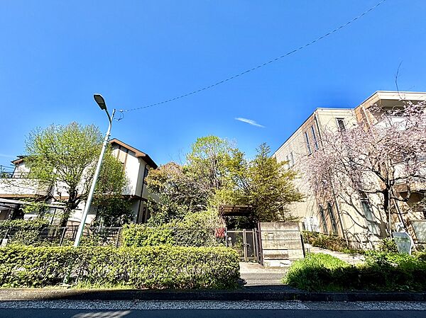 外観：313004689938