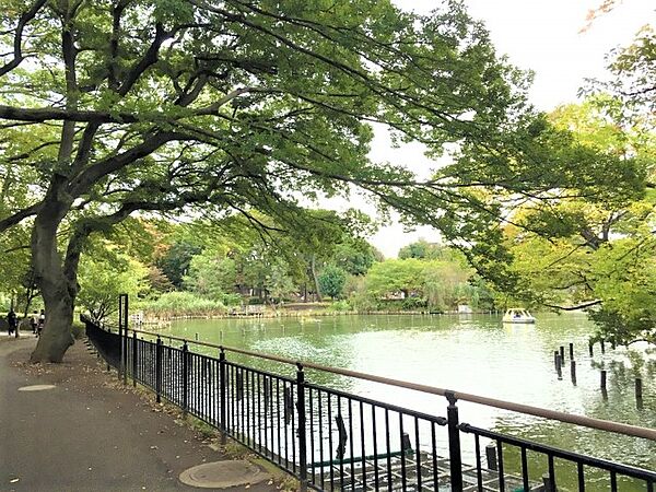 歌川広重の名所江戸百景『千束の池袈裟懸松』にも描かれた水辺の景観の面影を今も残す「洗足池公園」。周辺住民の憩いの場になっており、池月橋、水生植物園のほか、勝海舟記念館も隣接しています。